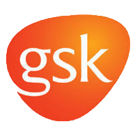 GSK client project overview showcasing branding elements and product visuals on a clean layout.