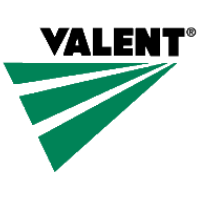 A vibrant logo for Valent, showcasing their brand identity on a clean background, emphasizing professionalism.